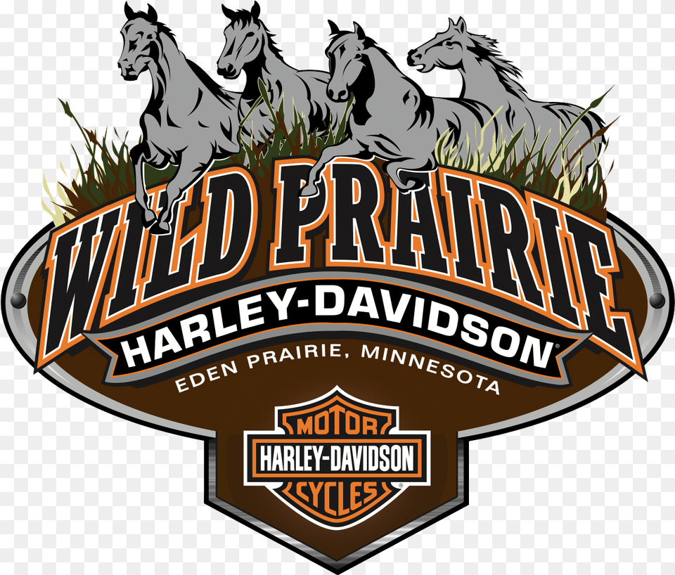 Wphd Horse Logo Harley Davidson, Animal, Mammal, Lion, Wildlife Free Png Download