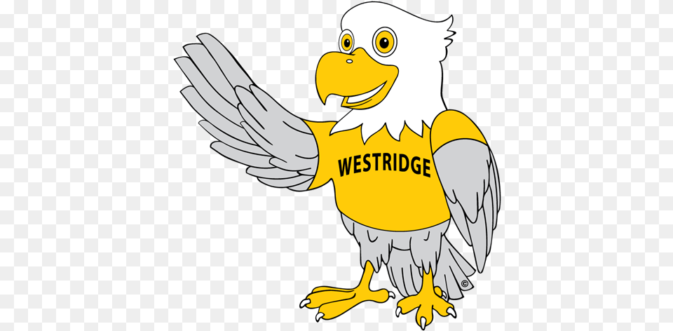 Wr Eagle Primary School, Animal, Beak, Bird, Vulture Free Png Download