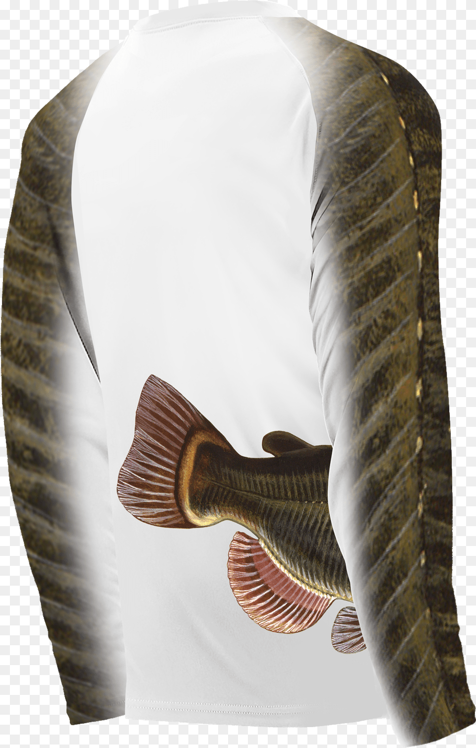 Wrap Around Catfish Russula Integra, Adult, Animal, Fish, Male Free Png Download