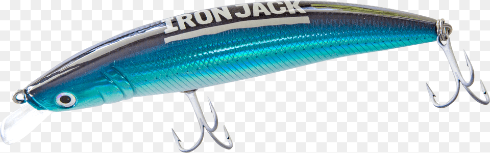 Wrasses, Fishing Lure, Animal, Electronics, Fish Free Png Download