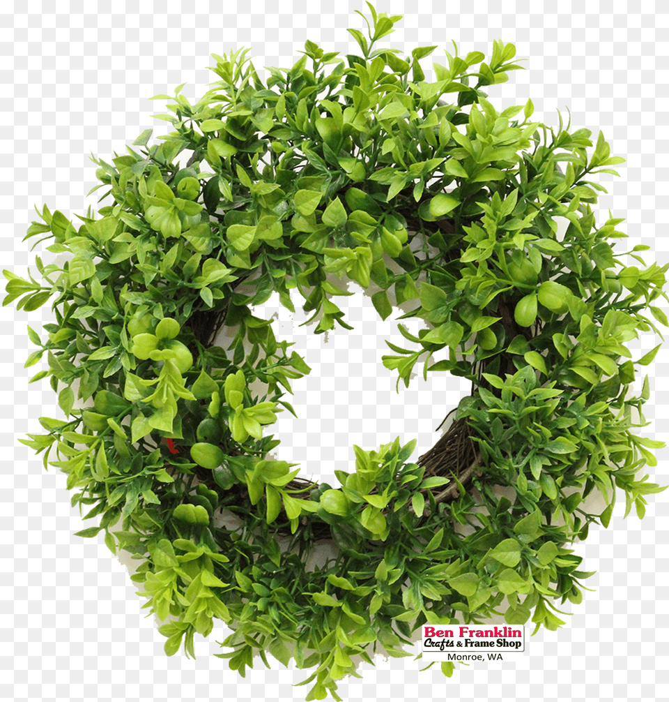 Wreath, Plant Free Png Download