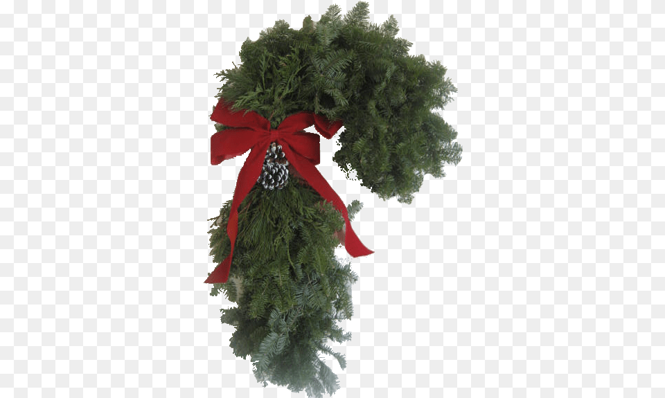 Wreath, Plant, Tree Free Png