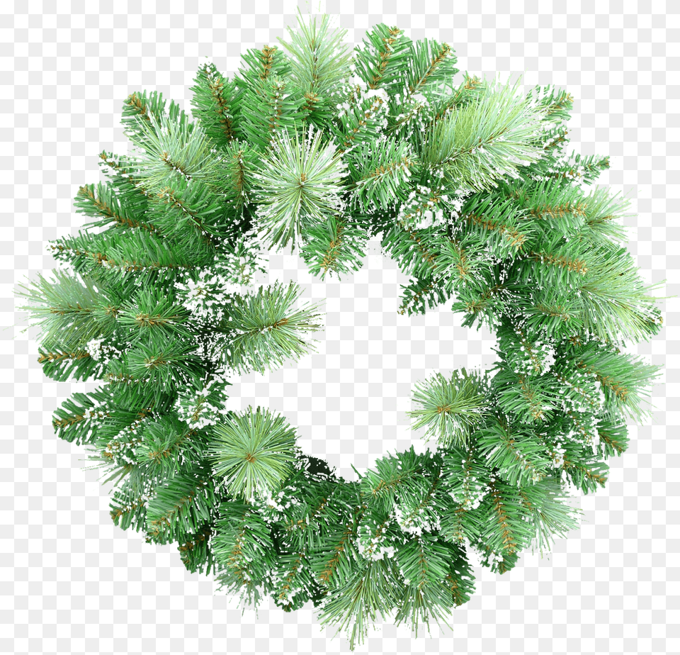 Wreath, Plant, Tree, Pine Free Png Download