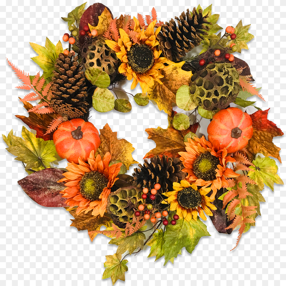 Wreath, Plant, Flower, Sunflower, Leaf Png