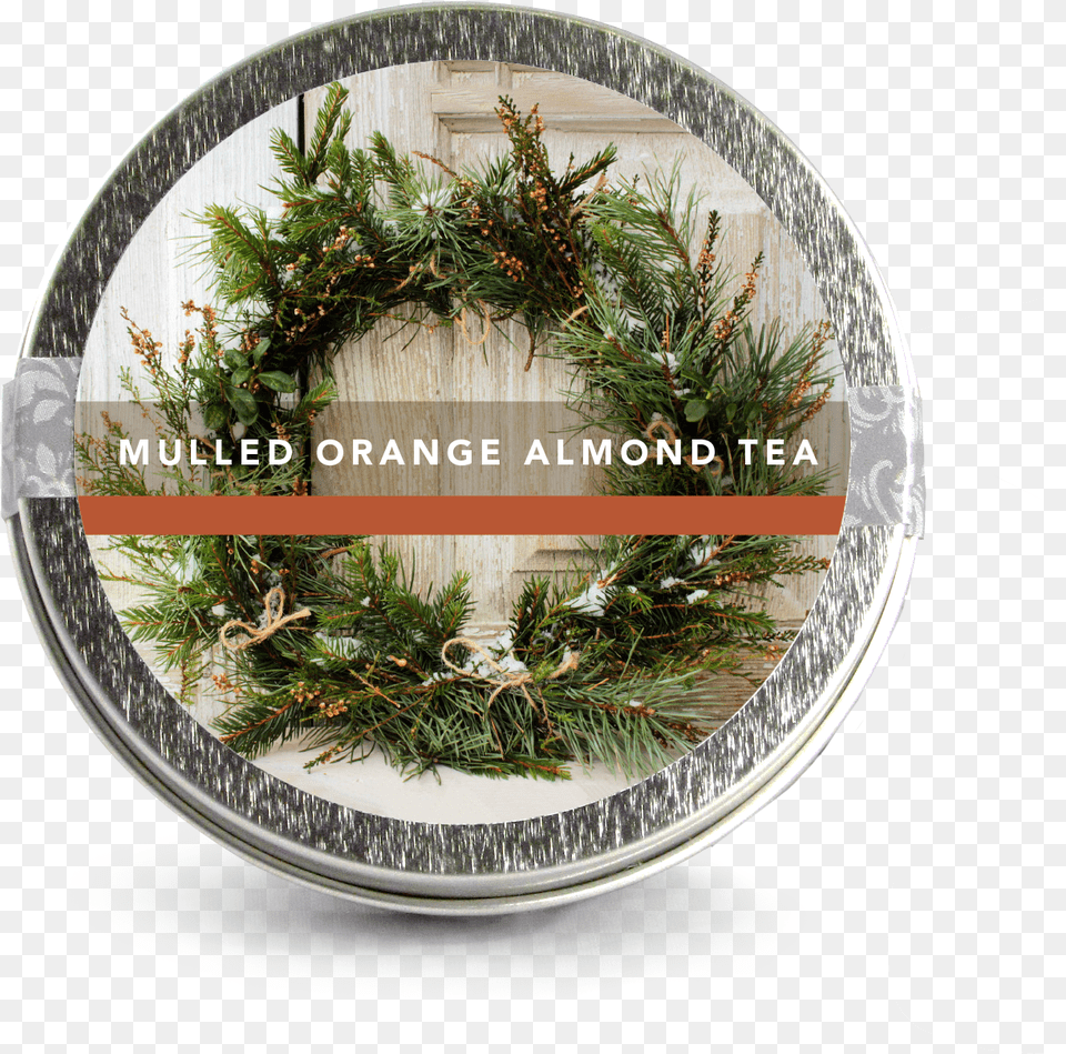 Wreath, Plant, Tree, Christmas, Christmas Decorations Png Image