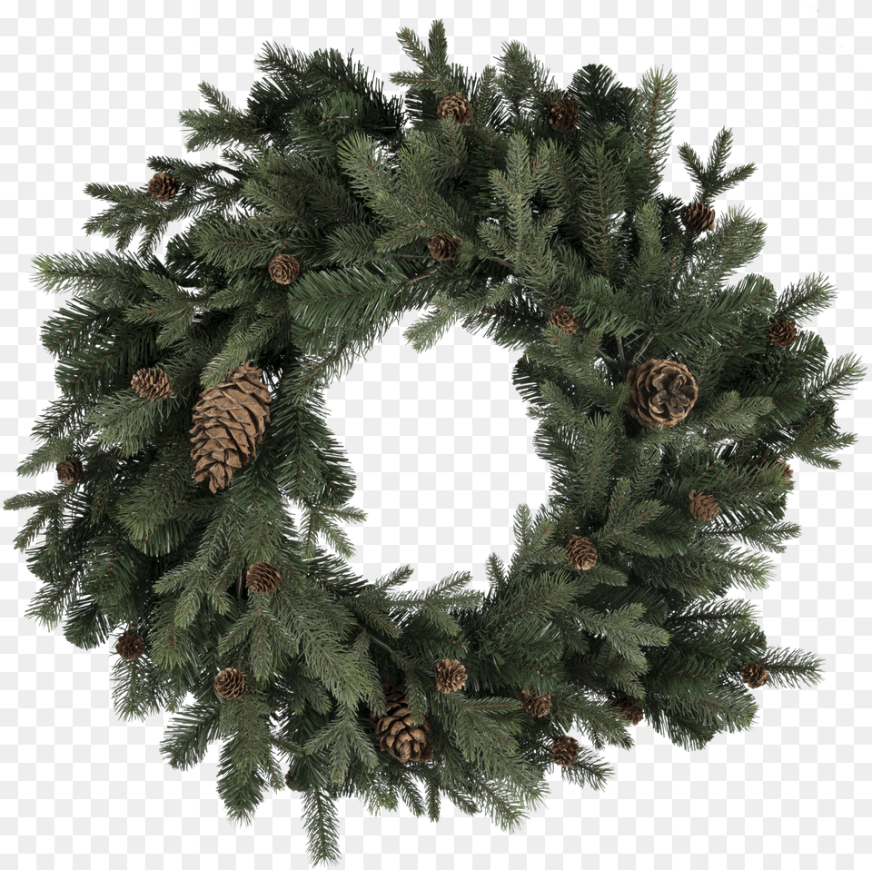 Wreath, Plant, Tree Free Png