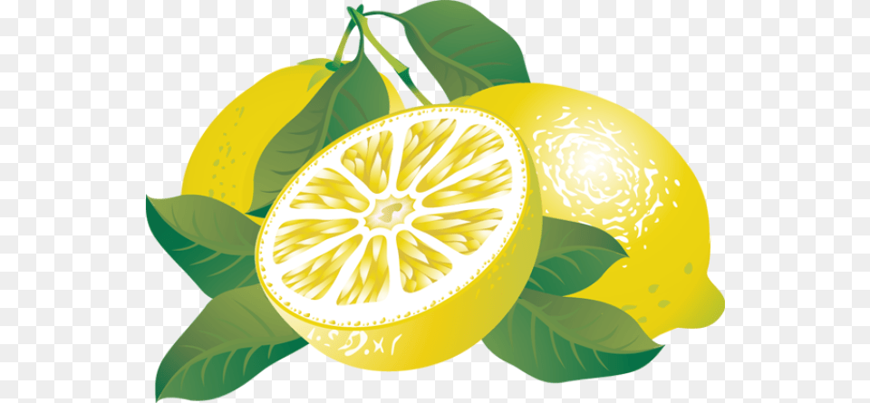 Wreath Clipart Citrus, Citrus Fruit, Food, Fruit, Lemon Png Image
