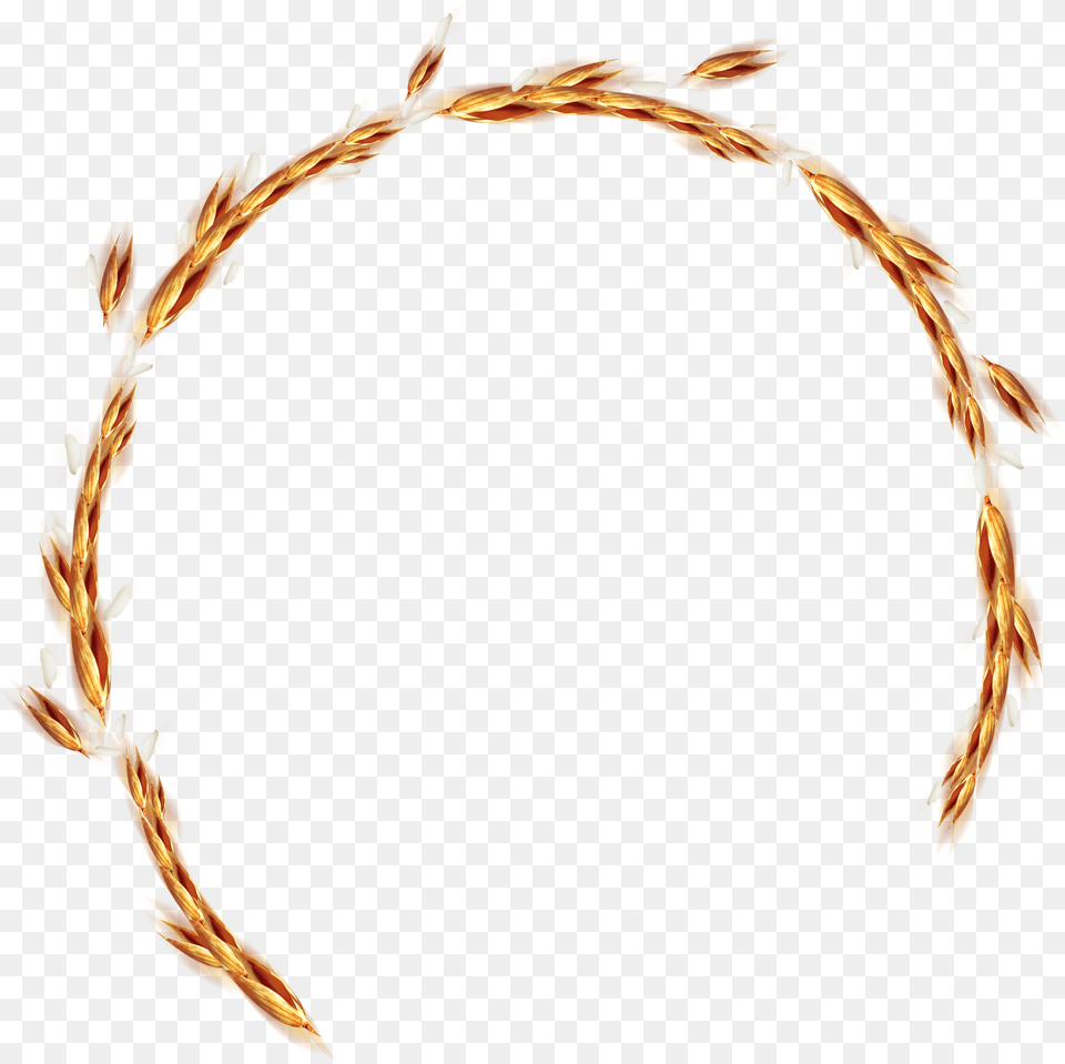 Wreath Clipart Grain Wheat, Accessories, Bracelet, Jewelry Free Transparent Png