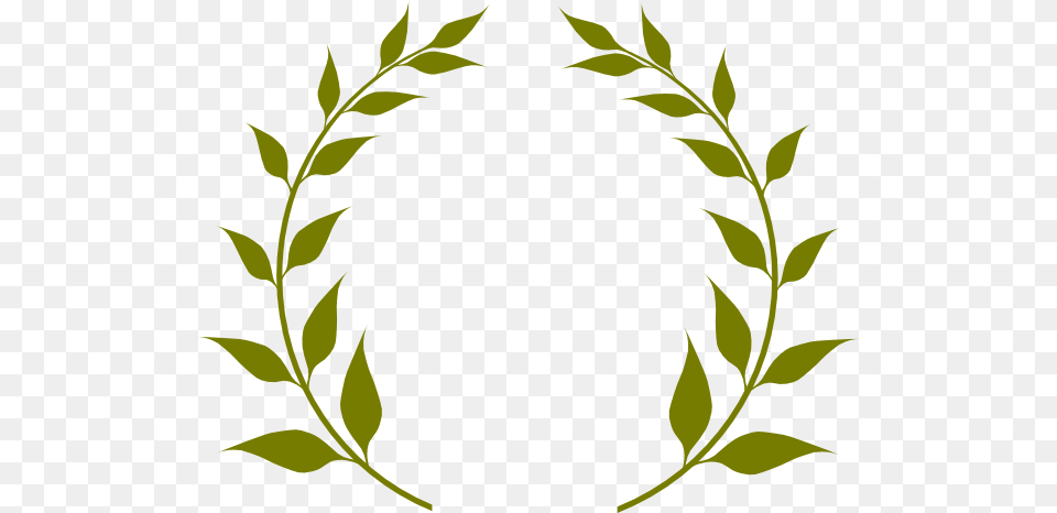 Wreath Clipart Olive Branch, Leaf, Plant, Herbal, Herbs Free Png Download