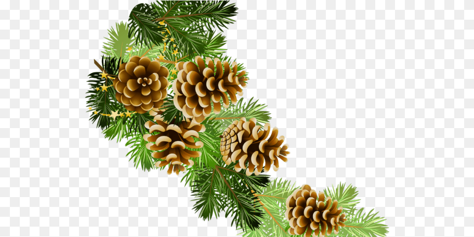 Wreath Clipart Background Background Christmas, Conifer, Larch, Plant, Tree Free Transparent Png