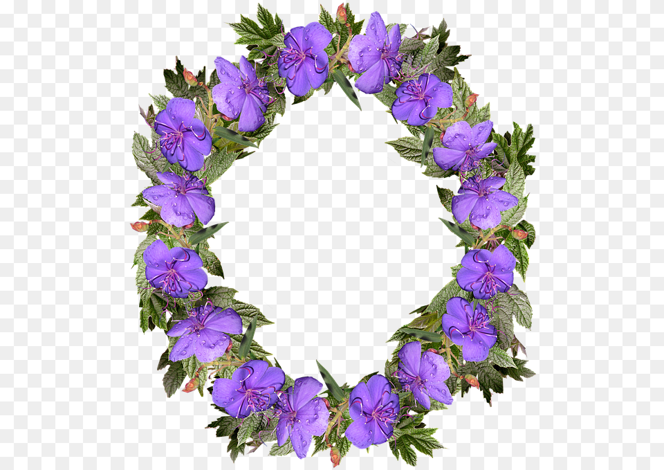 Wreath Flowers Frame Decoration Nature Wreath, Flower, Geranium, Plant, Purple Png Image