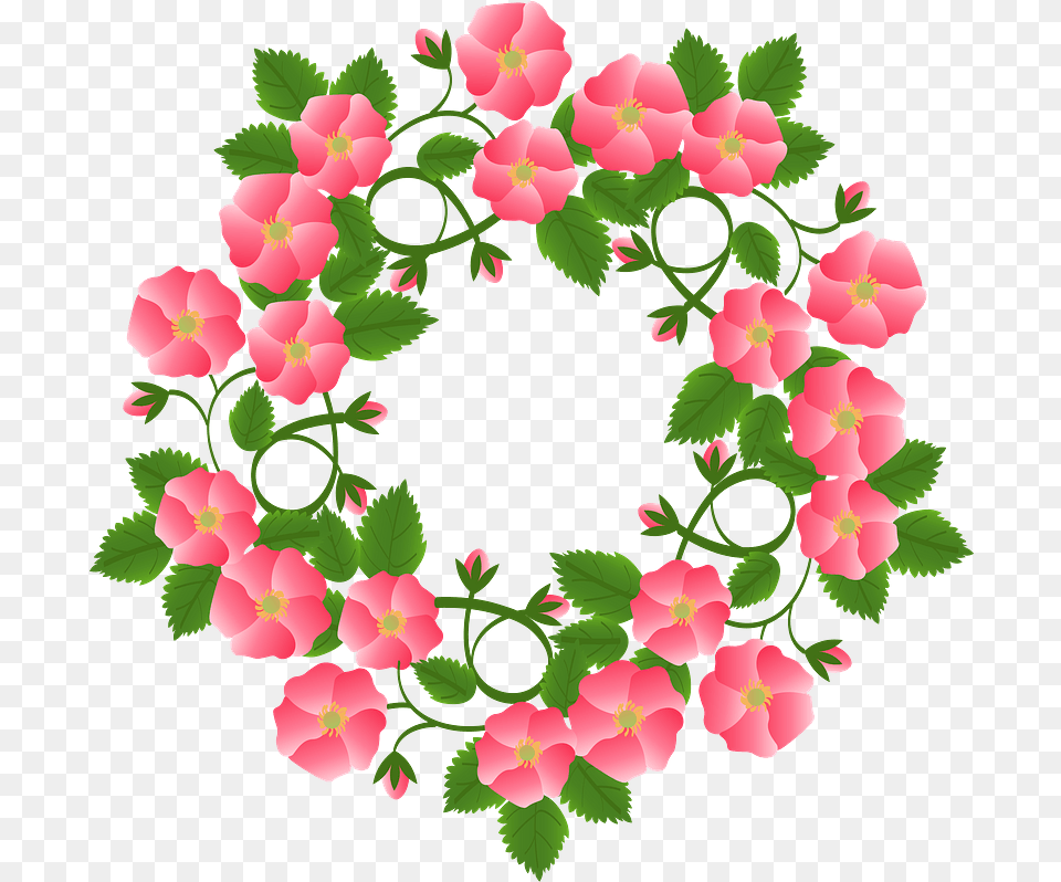 Wreath Flowers Romantic Clipart Download Mandevilla, Art, Floral Design, Graphics, Pattern Free Transparent Png