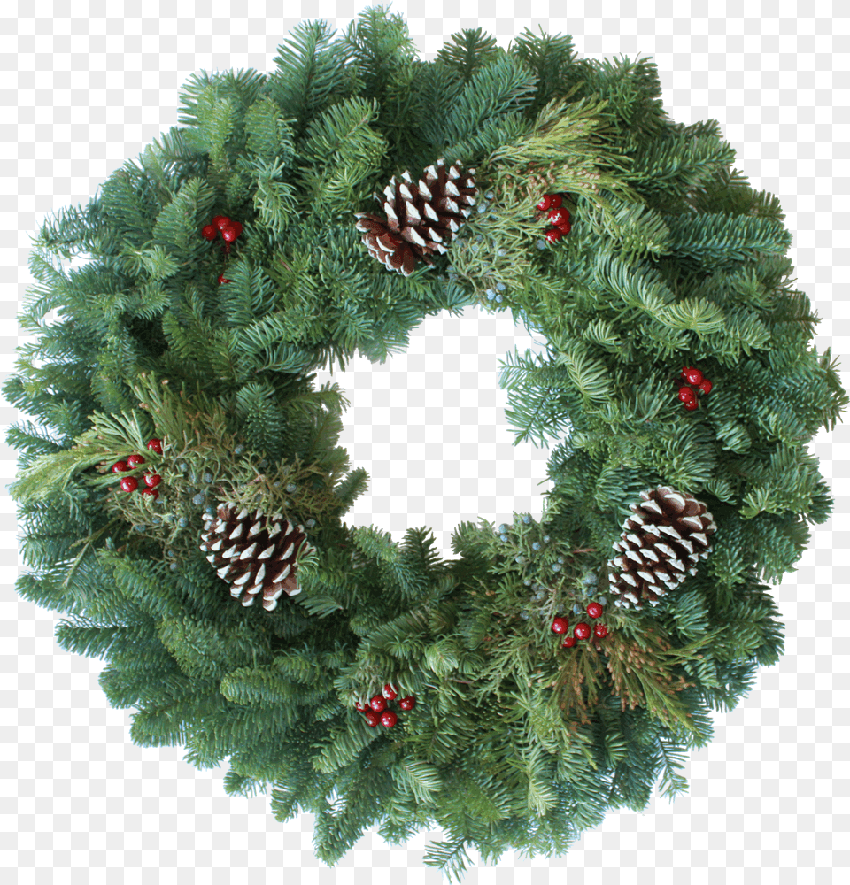 Wreath Fundraising Program Wood Mountain Christmas Trees Decorated Live Christmas Wreaths, Plant Free Png