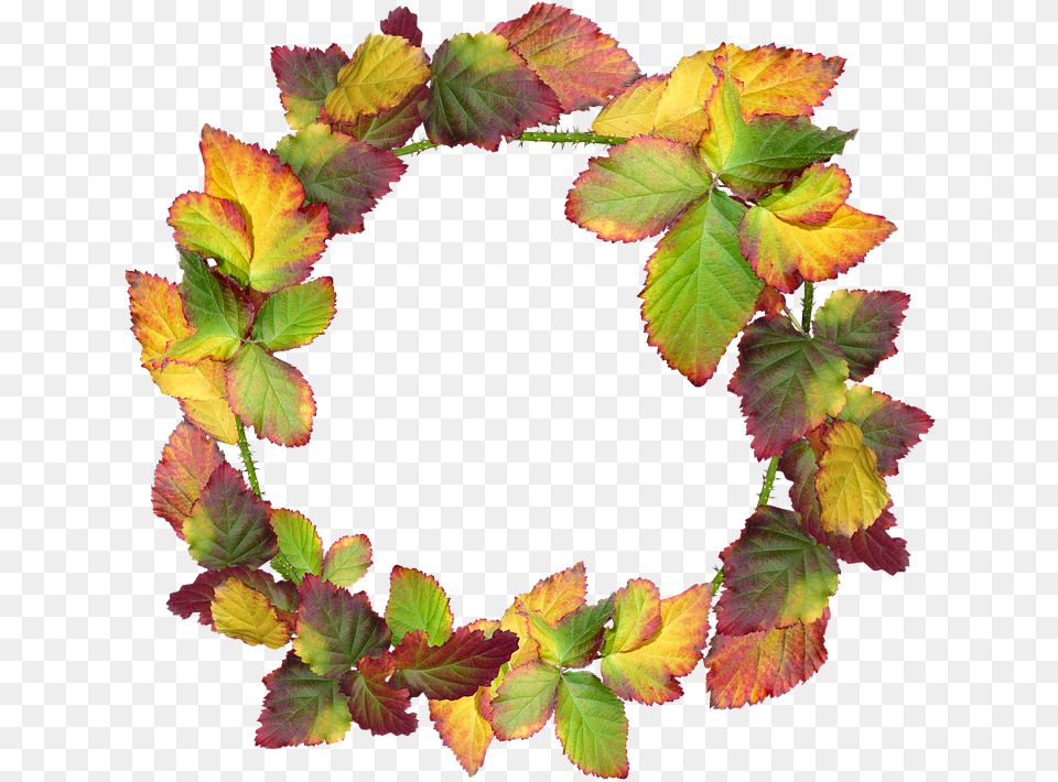 Wreath Leaves Autumn Fall Nature Garden Frame Transparent Autumn Wreath, Leaf, Plant, Accessories, Flower Png Image