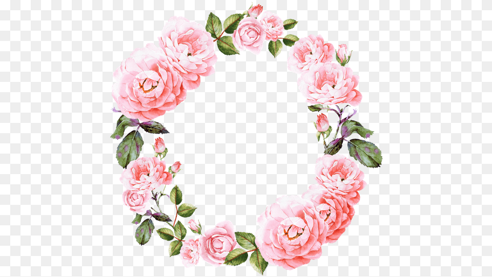 Wreath Svg Watercolor Pink Floral Wreath, Flower, Plant, Rose, Pattern Free Transparent Png