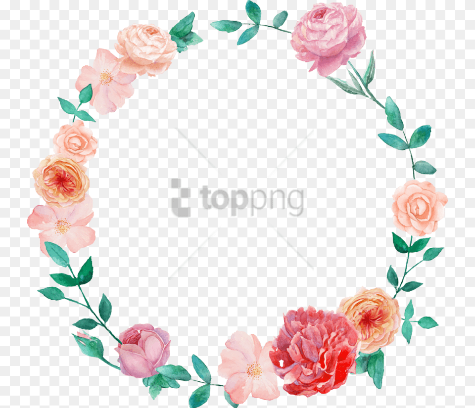 Wreath Watercolor Wreath Watercolor Watercolor Wreath Flower, Plant, Rose, Carnation Free Transparent Png