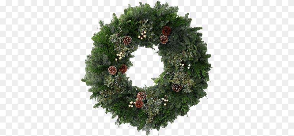 Wreaths Christmas Day, Wreath, Plant Free Transparent Png