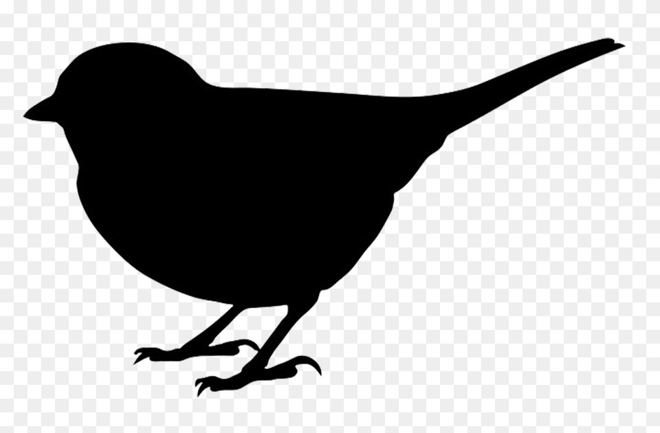 Wren Clipart Art, Animal, Bird, Blackbird, Silhouette Free Transparent Png