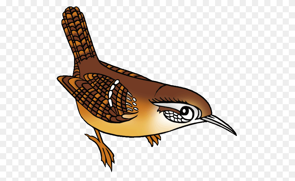 Wren Clipart Florida, Animal, Bird, Fish, Sea Life Free Transparent Png