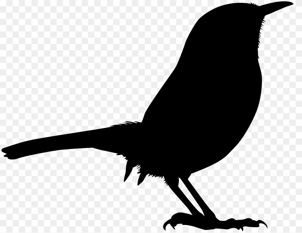 Wren Silhouette, Animal, Bird, Blackbird Png Image