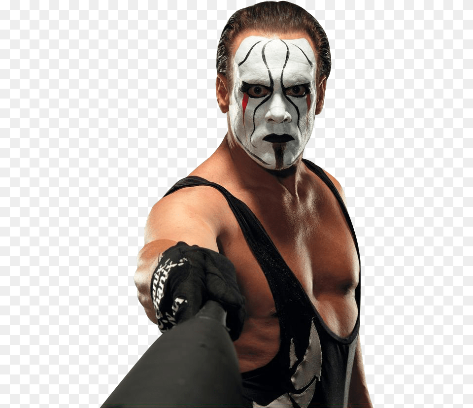 Wrestlers Clipart Wrestling Champion Sting Wwe, Adult, Person, Man, Male Free Png Download