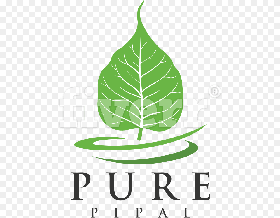 Wri, Green, Leaf, Plant, Advertisement Free Png Download
