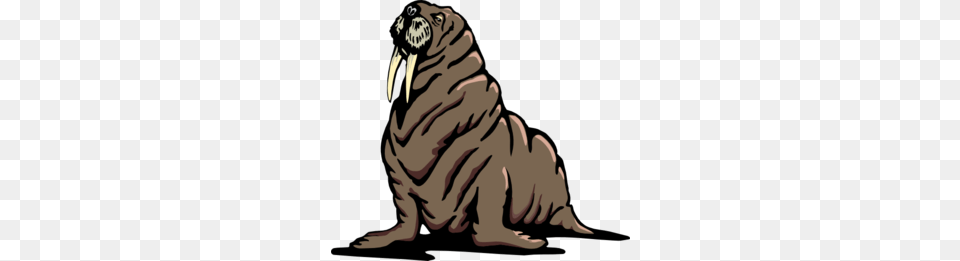 Wrinkled Walrus Clip Art, Animal, Sea Life, Baby, Mammal Free Png Download