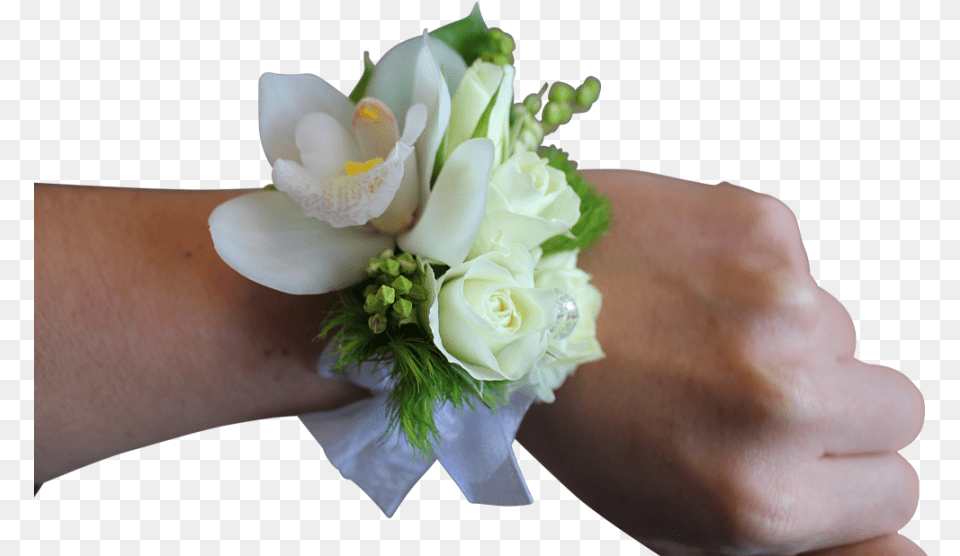 Wrist Flower Corsage White, Rose, Plant, Person, Hand Png Image