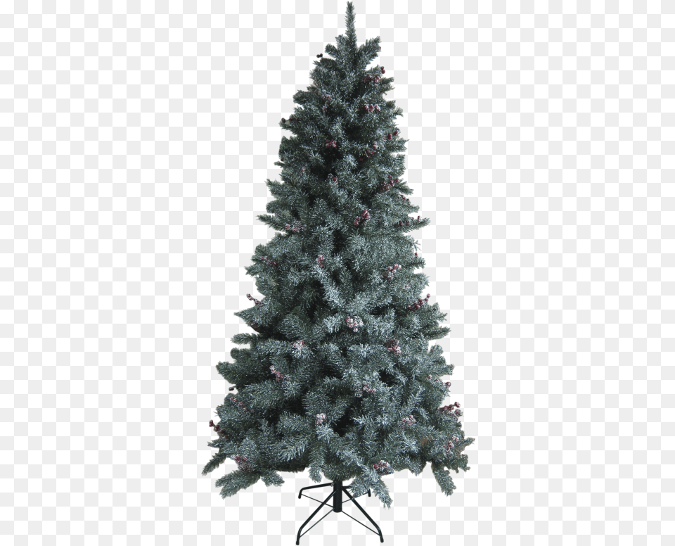 Write A Review Ge Christmas Tree, Plant, Pine, Fir, Christmas Decorations Free Transparent Png