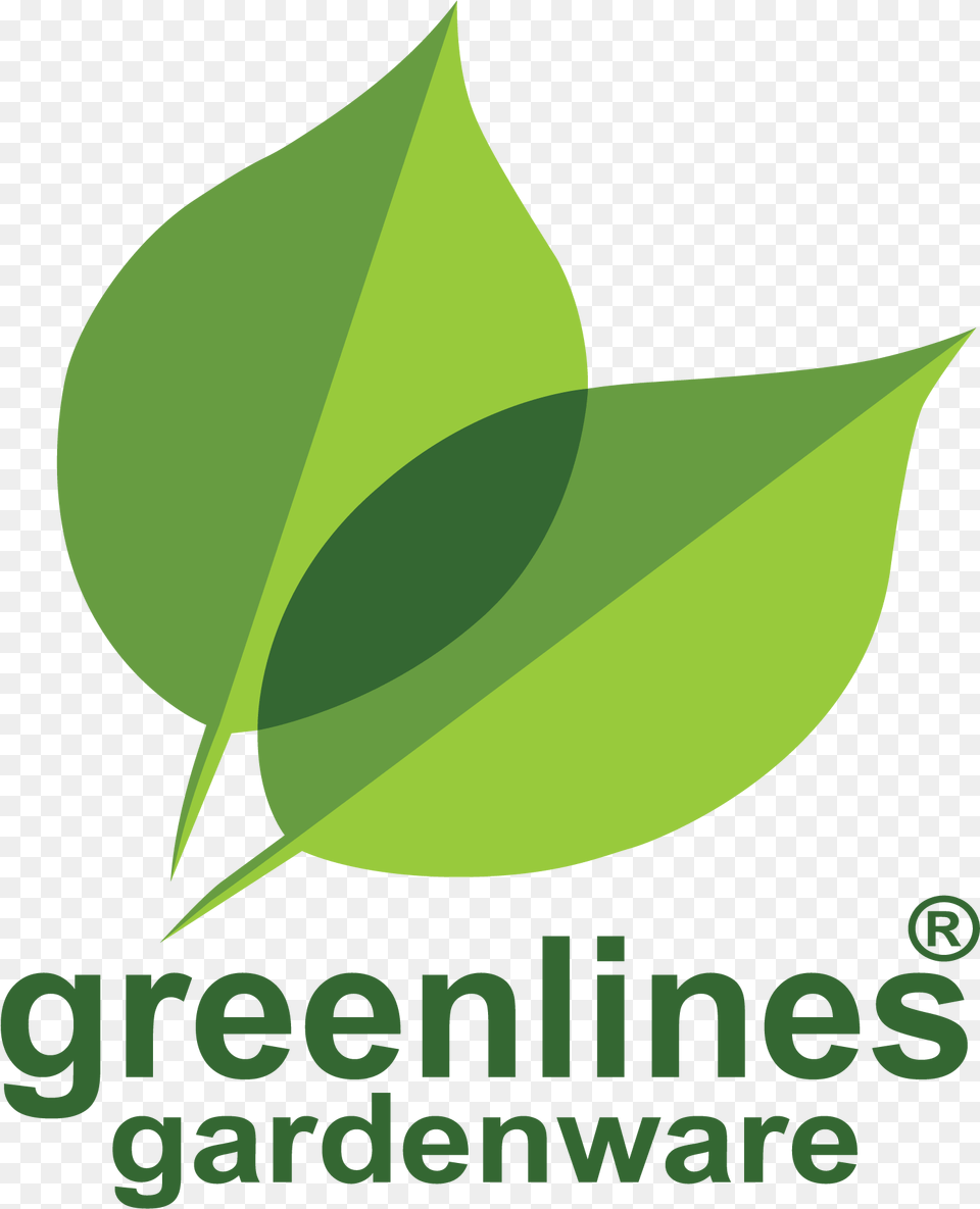 Write Branding Guidelines, Plant, Green, Leaf, Herbal Free Png