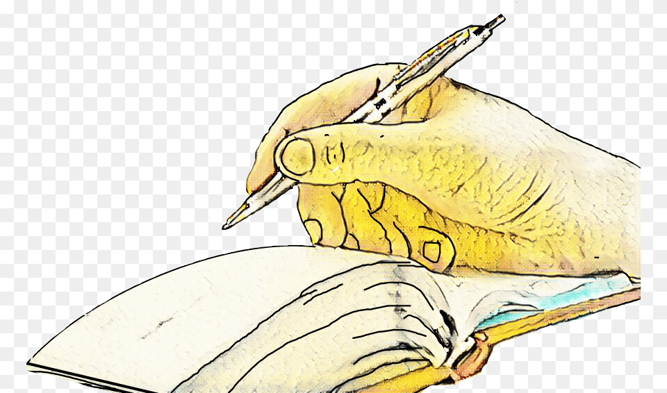 Write Hand Notebook Pen Illustration, Art, Drawing, Animal, Fish Png