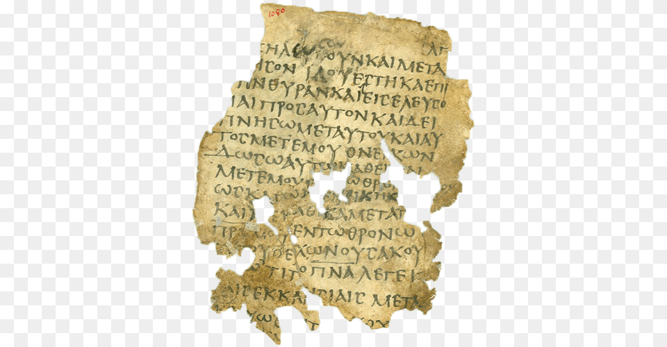 Written On An Oblong Piece Of Parchment This Sixth Seventh Greek Writing On Parchment, Text, Animal, Bird Free Transparent Png