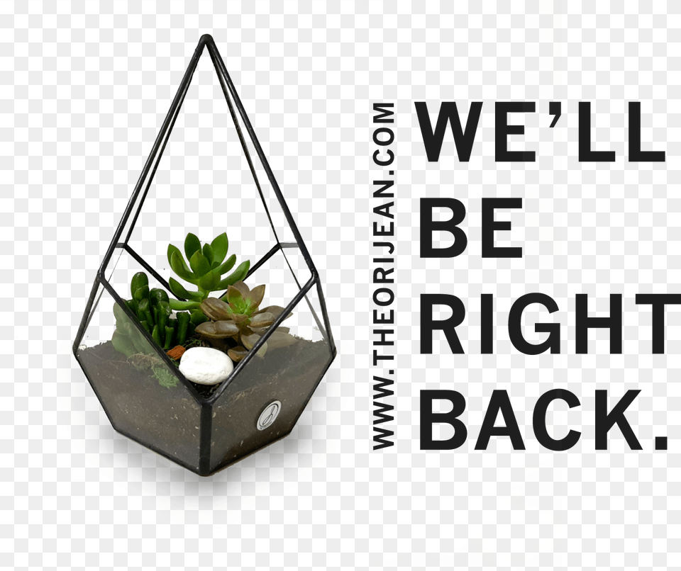 Wrong Way Go Back Sign, Jar, Plant, Planter, Potted Plant Free Png