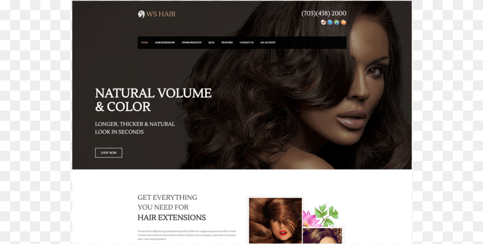 Ws Hair Free Responsive Woocommerce Wordpress Theme Hair Salon Wordpress Themes Free, Adult, Person, Woman, File Png Image