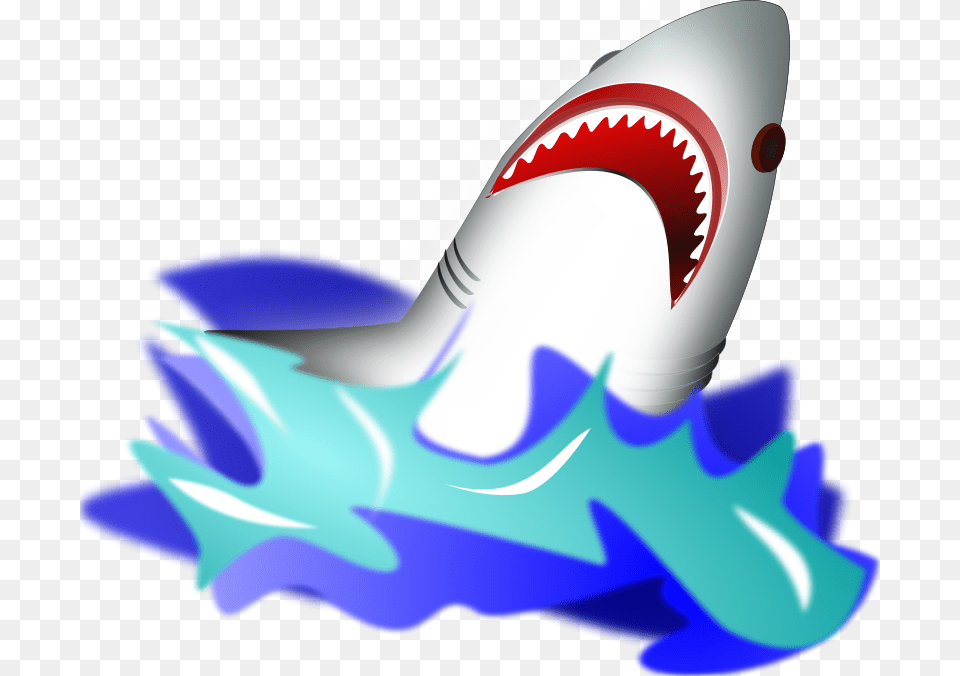 Wsnaccad Shark, Animal, Sea Life, Fish, Baby Png Image