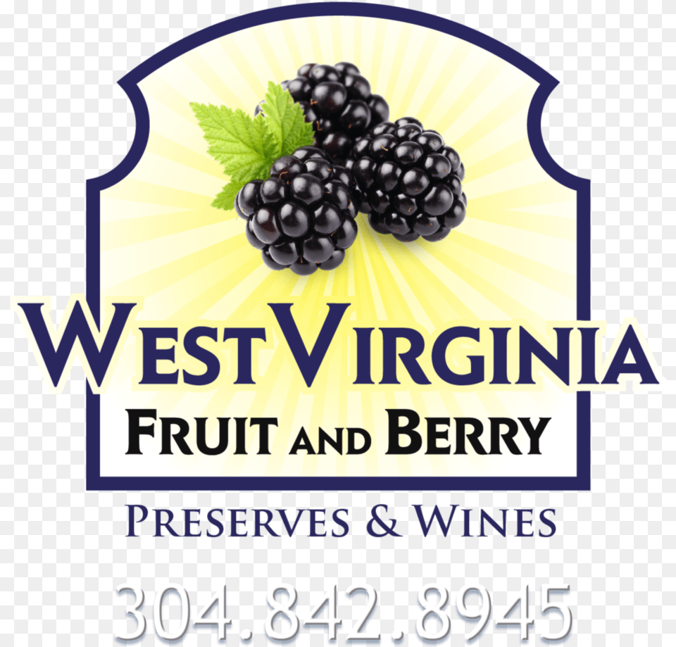 Wv Fruit And Wine Thornless Blackberry Seeds Delicious Nutritious, Berry, Food, Plant, Produce Png Image