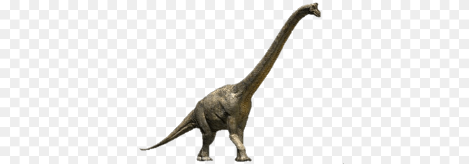 Wwd Brachiosaurus Render, Animal, Dinosaur, Reptile, T-rex Png Image