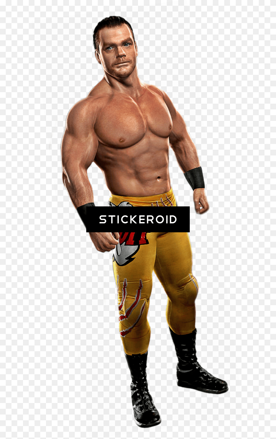 Wwe, Adult, Male, Man, Person Png Image