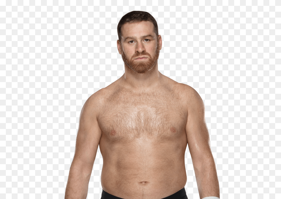 Wwe, Face, Head, Person, Adult Png Image