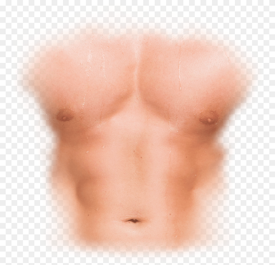 Wwe 2k Body Texture, Back, Body Part, Person, Torso Png Image