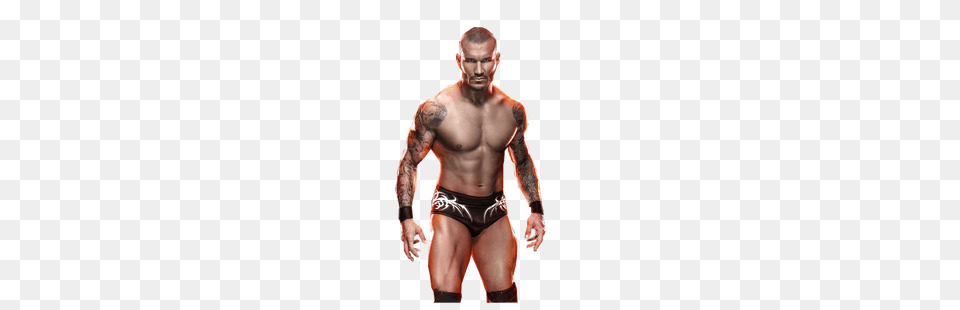 Wwe, Adult, Person, Man, Male Free Png