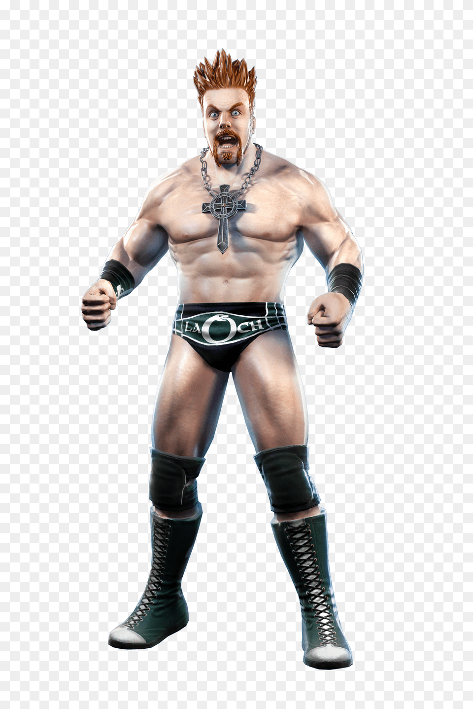 Wwe All Stars Sheamus Image With No Sheamus Wwe All Stars, Adult, Person, Man, Male Free Transparent Png
