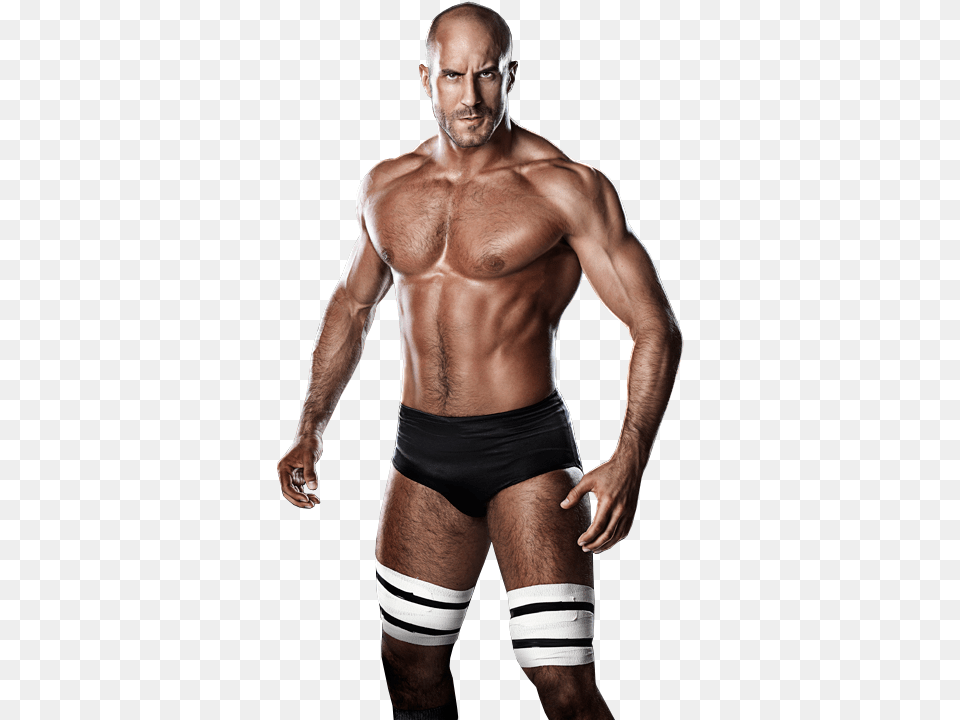 Wwe Antonio Cesaro, Adult, Male, Man, Person Free Png Download