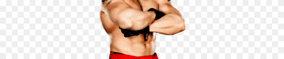 Wwe Brock Lesnar Image, Back, Body Part, Person, Adult Free Transparent Png