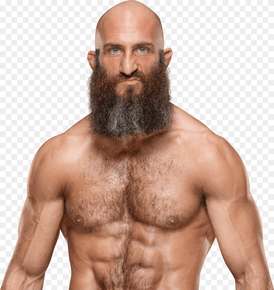 Wwe Ciampa, Beard, Face, Head, Person Free Png Download