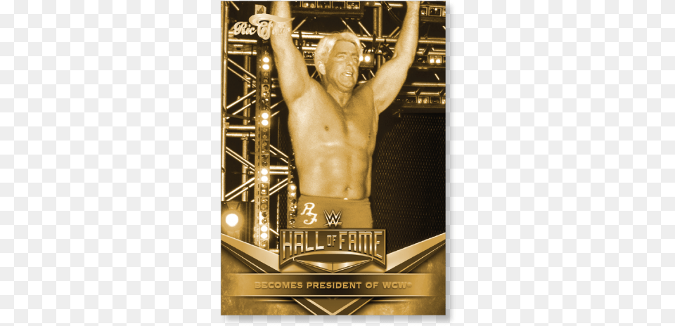 Wwe Hall Of Fame, Adult, Person, Male, Man Free Png
