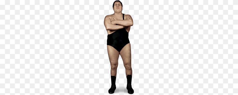 Wwe Hall Of Famers, Swimwear, Body Part, Clothing, Person Png Image