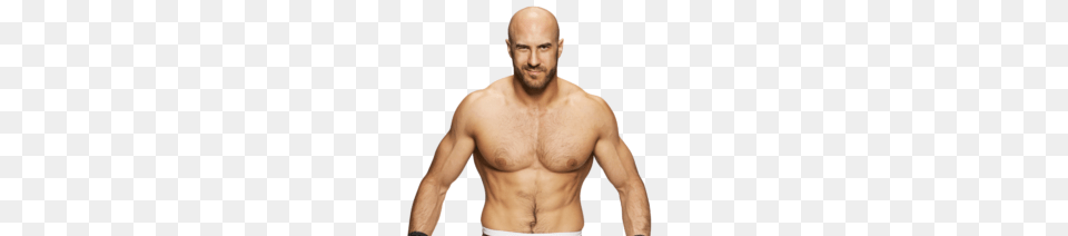 Wwe Live Australia, Person, Back, Body Part, Adult Free Png