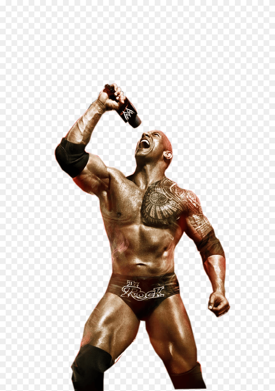 Wwe Superstars Download Wwe The Rock, Person, Hand, Finger, Body Part Png