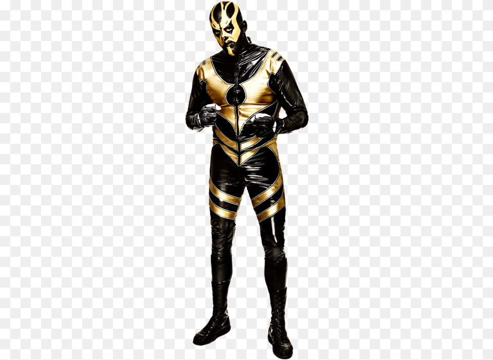 Wwe Tag Team Champion Goldust Wwe, Adult, Female, Person, Woman Free Png Download